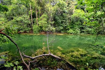 Картинка природа реки озера река лес