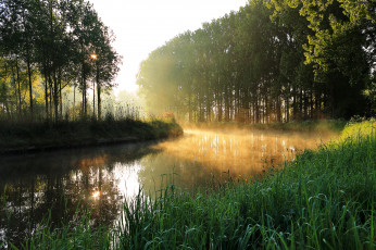 Картинка природа реки озера река лес