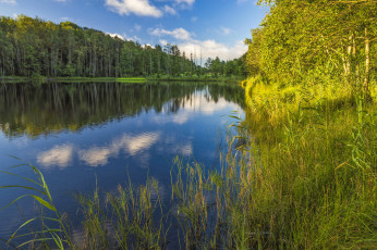 Картинка природа реки озера река лес