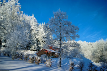 Картинка природа зима снег