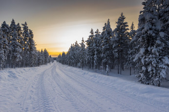 Картинка природа зима снег