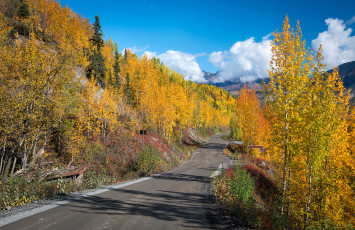 Картинка природа дороги тракт