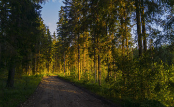 Картинка природа дороги тракт