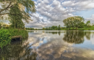 Картинка природа реки озера лес река