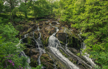 Картинка природа водопады водопад река лес