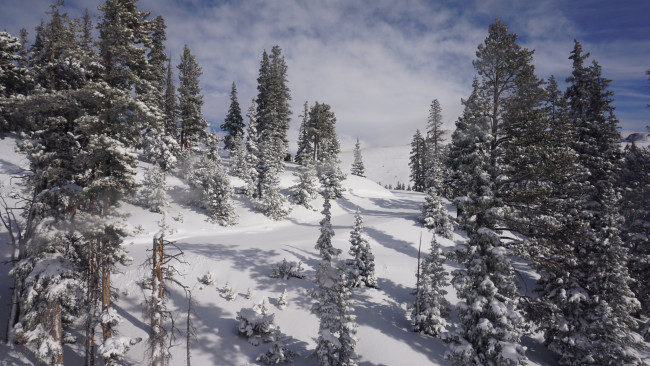 Обои картинки фото природа, зима, снег