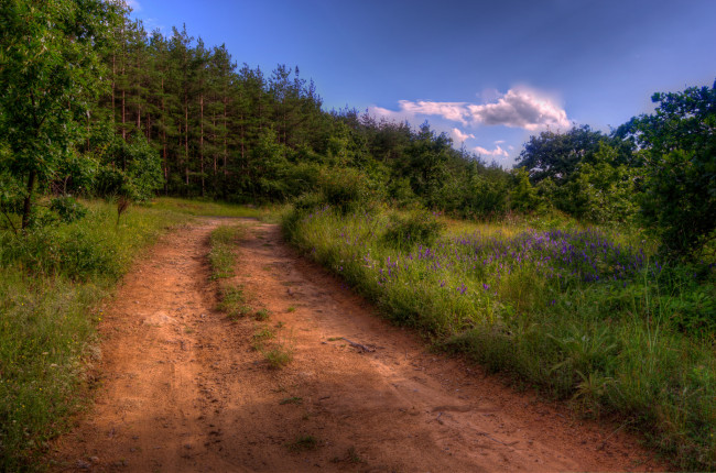 Обои картинки фото природа, дороги, тракт