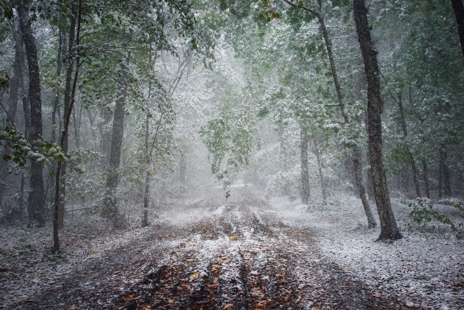 Обои картинки фото природа, дороги, тракт