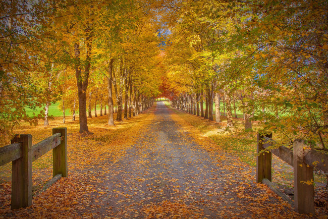 Обои картинки фото природа, дороги, тракт