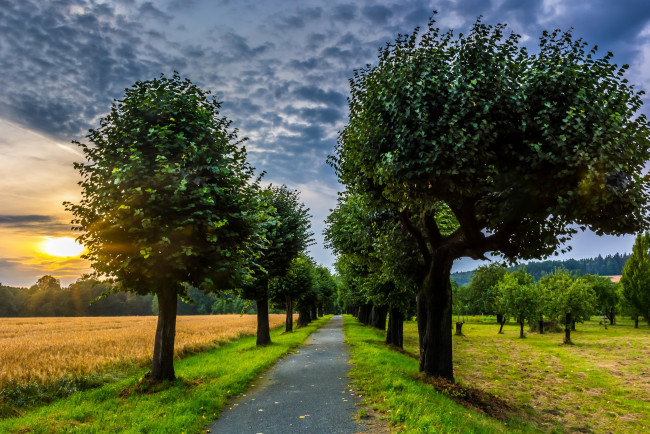 Обои картинки фото природа, дороги, тракт