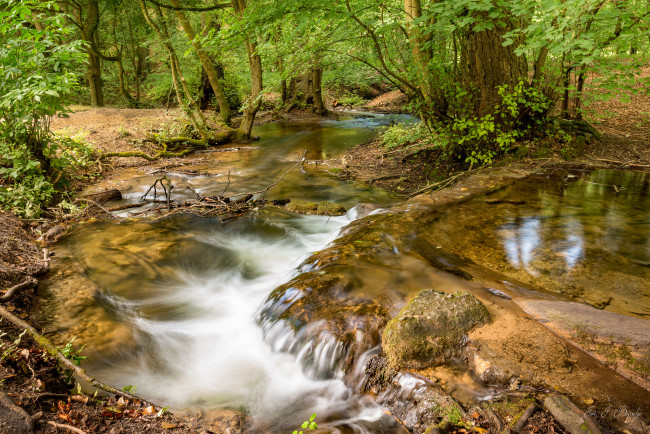 Обои картинки фото природа, реки, озера, река, лес