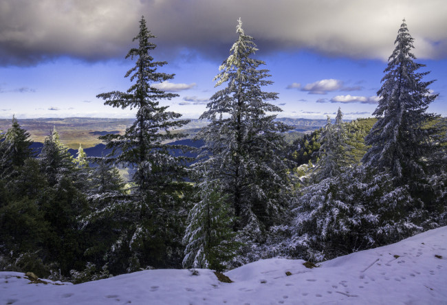 Обои картинки фото природа, зима, снег