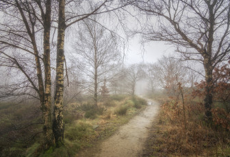 Картинка природа дороги тракт