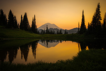 Картинка природа реки озера лес река