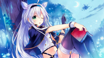 Картинка аниме rokudenashi+majutsu+koushi+to+akashic+records девушка взгляд фон