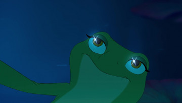 обоя мультфильмы, the princess and the frog, искра, лягушка, взгляд