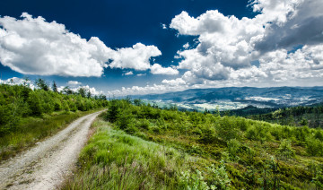 Картинка природа дороги тракт