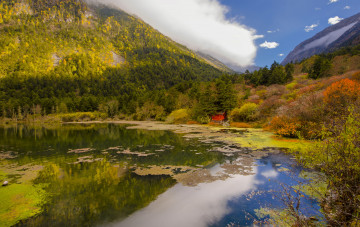 Картинка природа реки озера лес река