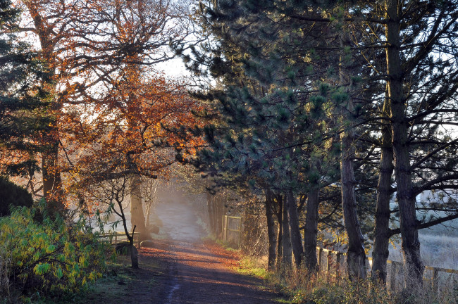 Обои картинки фото природа, дороги, тракт