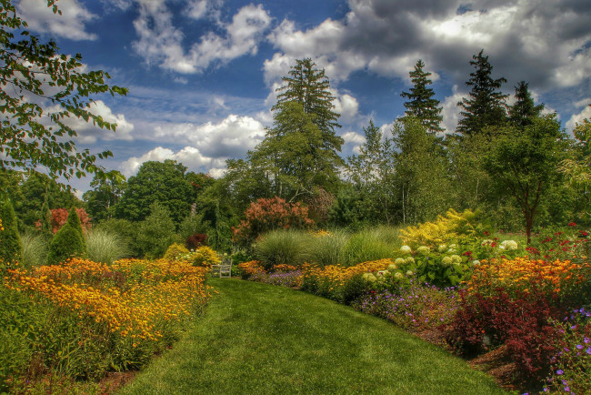 Обои картинки фото природа, лес, деревья