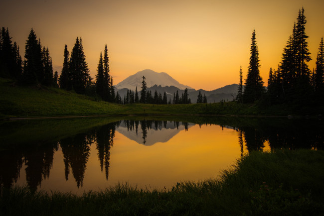 Обои картинки фото природа, реки, озера, лес, река