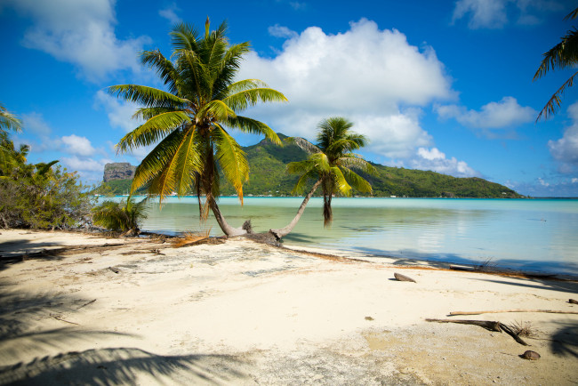 Обои картинки фото природа, тропики, простор