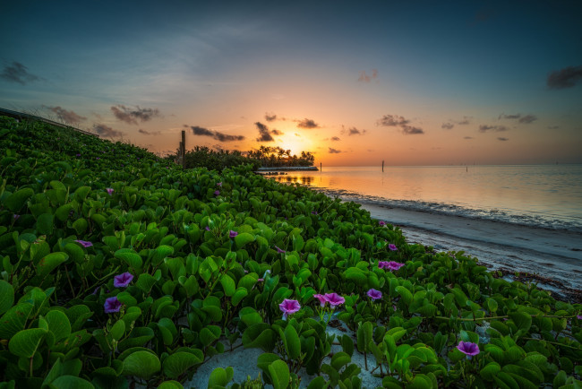 Обои картинки фото природа, восходы, закаты, рассвет