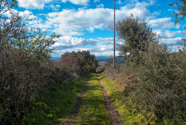 Обои картинки фото природа, дороги, тракт