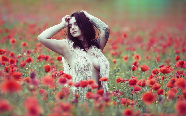 Обои картинки фото девушка, девушки, -unsort , брюнетки, темноволосые, модель