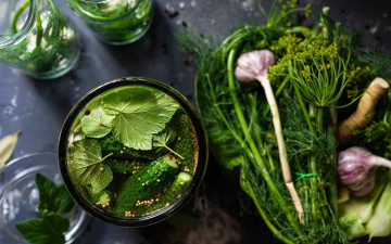 Картинка еда огурцы чеснок укроп листья смородина