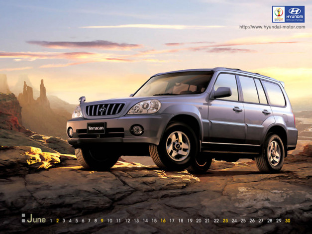 Обои картинки фото 