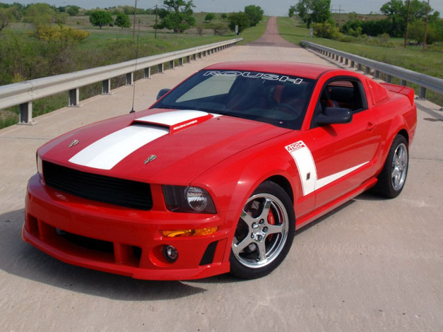 Обои картинки фото 2008, roush, 428r, mustang, автомобили, ford
