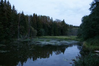 Картинка природа реки озера