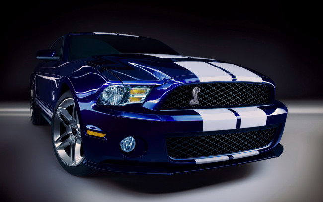 Обои картинки фото 2010, ford, shelby, gt500, автомобили