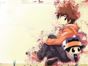 Картинка аниме katekyo hitman reborn