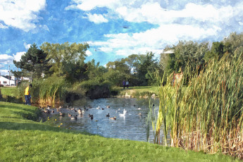 Картинка рисованные природа деревья камыш