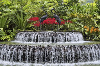 Картинка города фонтаны вода журавли цветы