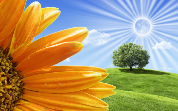 Картинка разное компьютерный дизайн солнце лучи поле дерево подсолнух облака