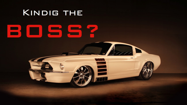 Обои картинки фото автомобили, mustang