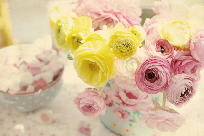 Обои картинки фото цветы, ранункулюс, азиатский, лютик, букет, винтаж, текстура