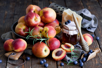 Картинка еда разное сыр персики натюрморт мед черника