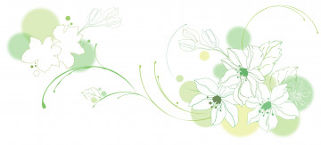 Картинка векторная+графика цветы фон листья лепестки