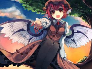 Картинка аниме touhou крылья девочка bei mochi mystia lorelei