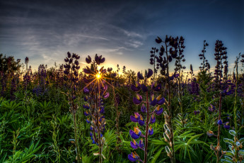 Картинка природа восходы закаты рассвет