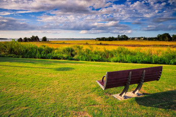 Картинка природа пейзажи скамейка простор