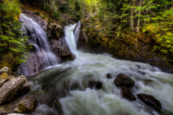 Картинка природа водопады лес река водопад