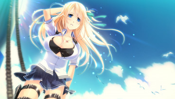 Картинка аниме unknown +другое кулон флаг россии солнце звезда значок лента канат кобура облака небо птица девушка взгляд фон