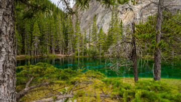 Картинка природа реки озера река лес горы