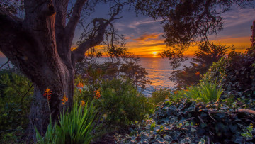 Картинка природа восходы закаты рассвет