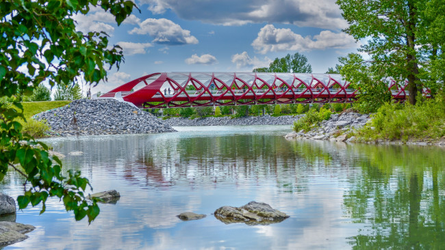 Обои картинки фото природа, реки, озера, мост, река, лес
